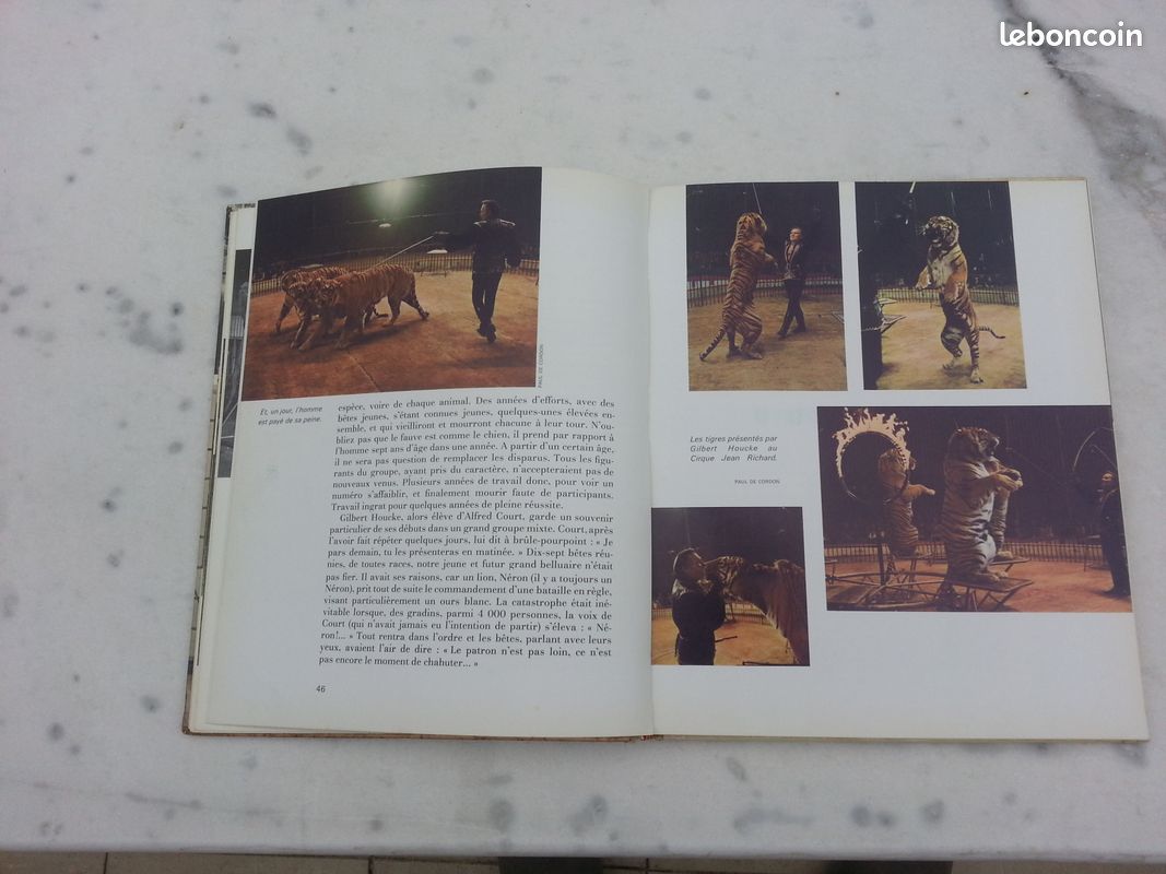 Envoyez les lions Ou le métier de dompteur (image 10)