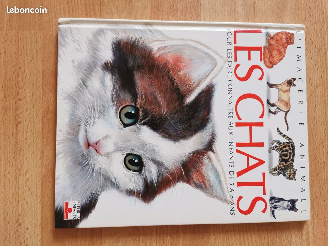 L'imagerie animale, les chats (image 1)