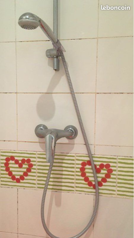 Mélangeur robinet Ramon Soler et Hansgrohe et colonne douche (image 1)