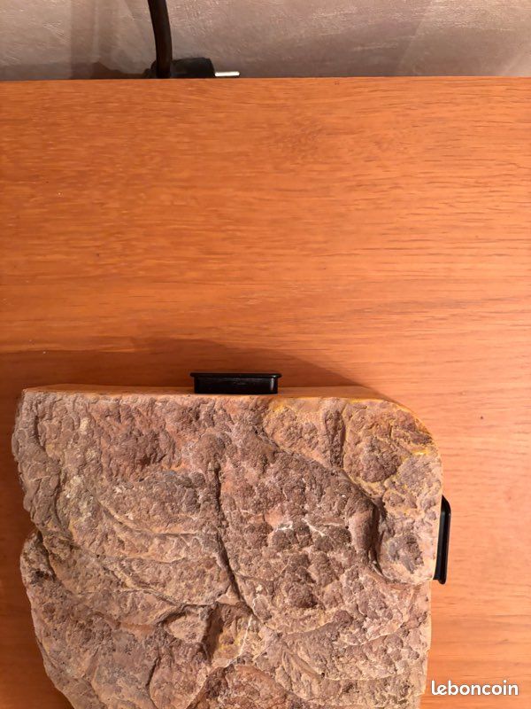 Plateforme tortue (image 3)