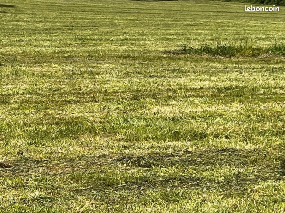 Terrain 500 m² · à Châteaubernard · 49 000 €
