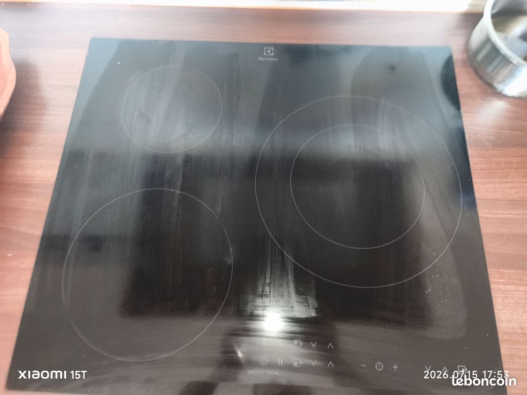 Plaque induction (image 1)