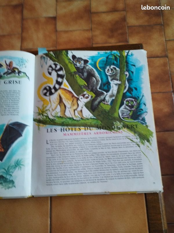 Encyclopédie le monde des animaux illustrée par Pierre Probst (image 6)