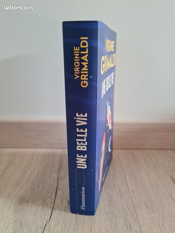 Lot livres virginie grimaldi (image 7)
