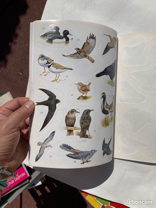 Livre « Autocollants Nature » - Oiseaux (image 8)