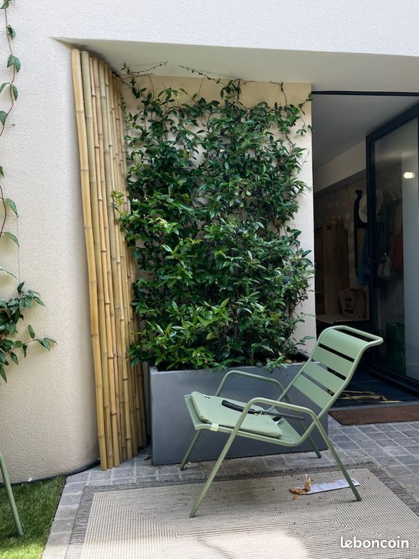 Bordure bambou canisse jardin – Clôture décorative (image 1)