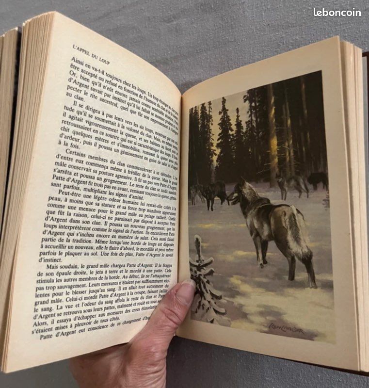 La sélection du livre : 4 histoires / 4 auteurs (image 11)
