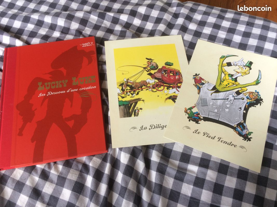 Lot bandes dessinées éditions collector (image 7)