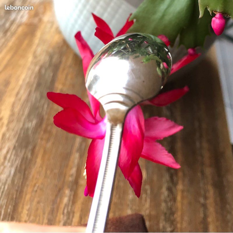 🦋 dixi coffret cuillères à moka anciennes 🦋 (image 7)