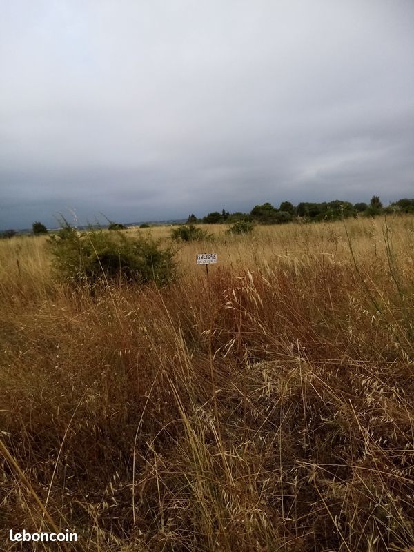 Terrain 4960 m² · à Loupian · 12 500 €