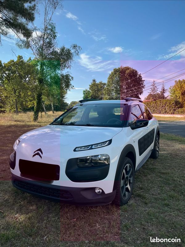 Citroen C4 Cactus (image 1)