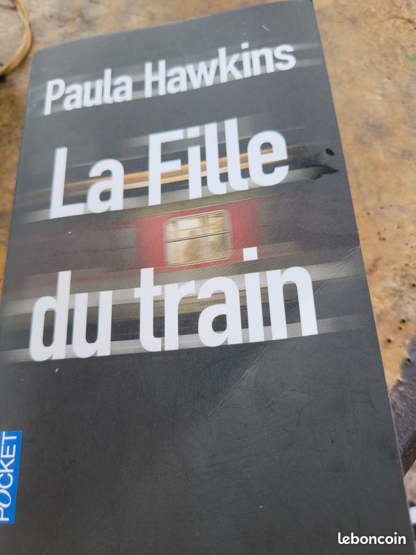 Policier..la fille du train (image 1)