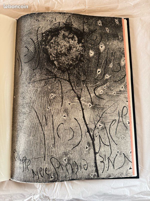 Livre d’art (image 17)