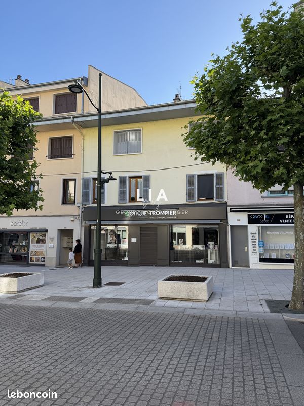 Immeuble 12 pièces 281 m² · à Aix-les-Bains · 281 m² · 1 350 000 €