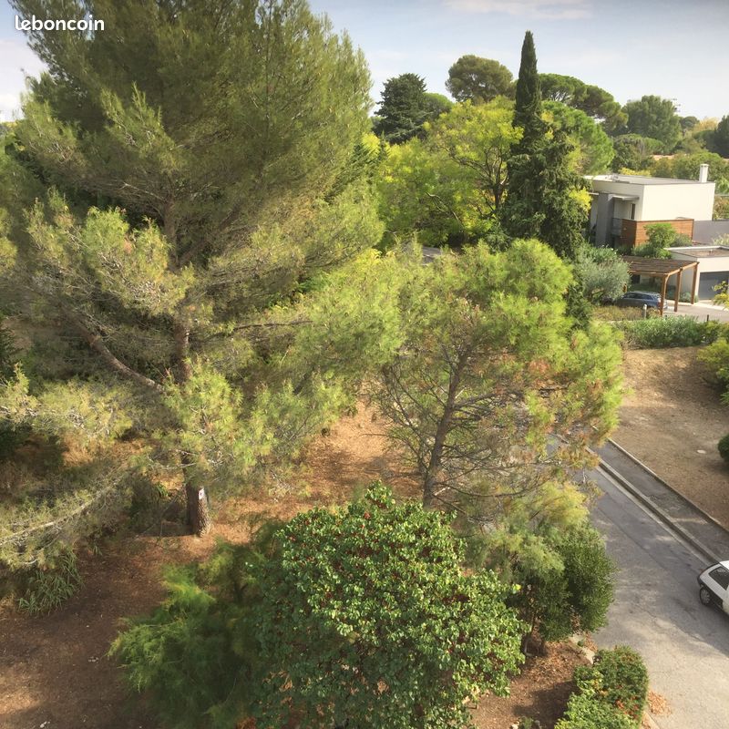 Appartement 4 pièces 80 m² · à Montpellier · 80 m² · 1 150 €/mois