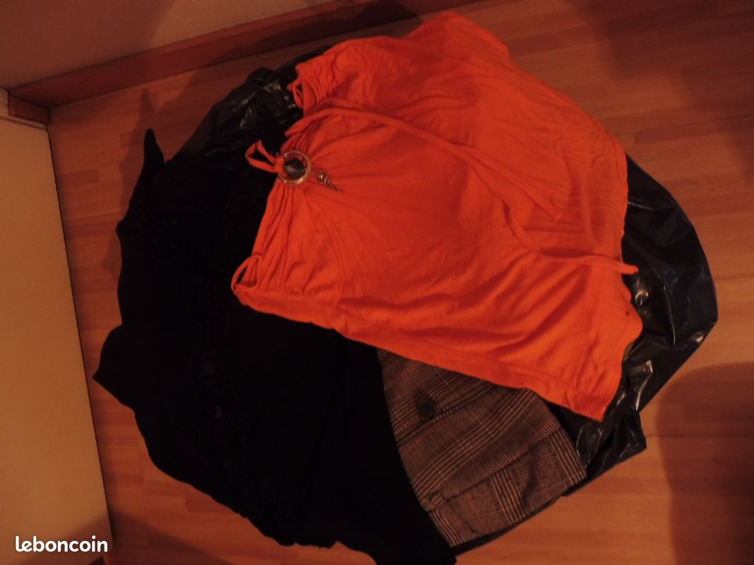 Lot de vêtements femme (image 1)