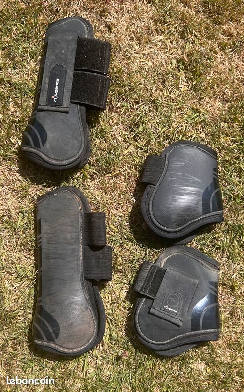 Guêtres cheval (image 1)
