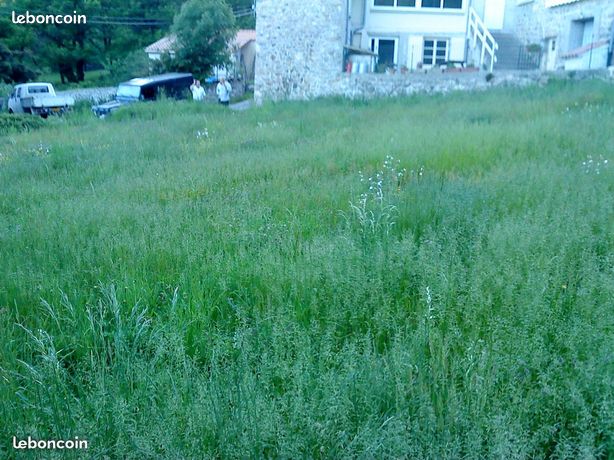 Terrain constructible