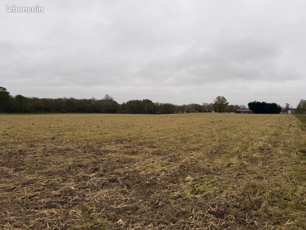 Terrain 461 m² Labatut