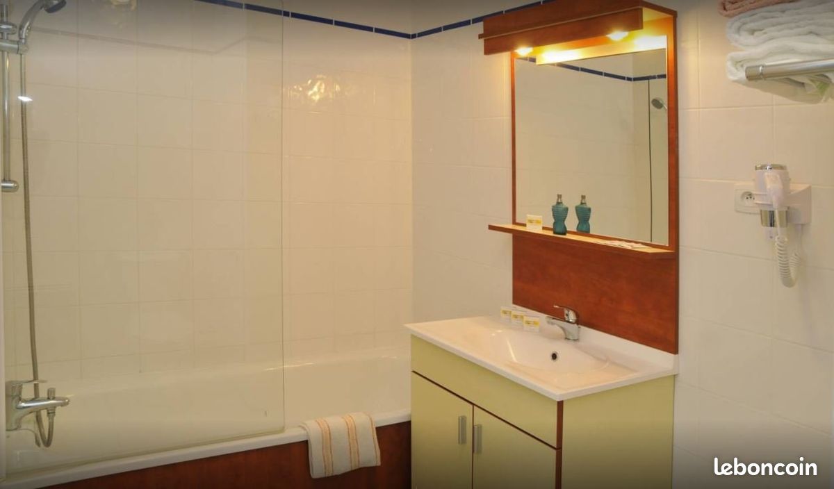Appartement 1 pièce 24 m² - Limoges 87000 (image principale 3)