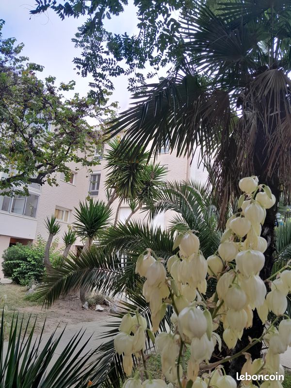 Appartement 3 pièces 70 m² · à Perpignan · 70 m² · 690 €/mois
