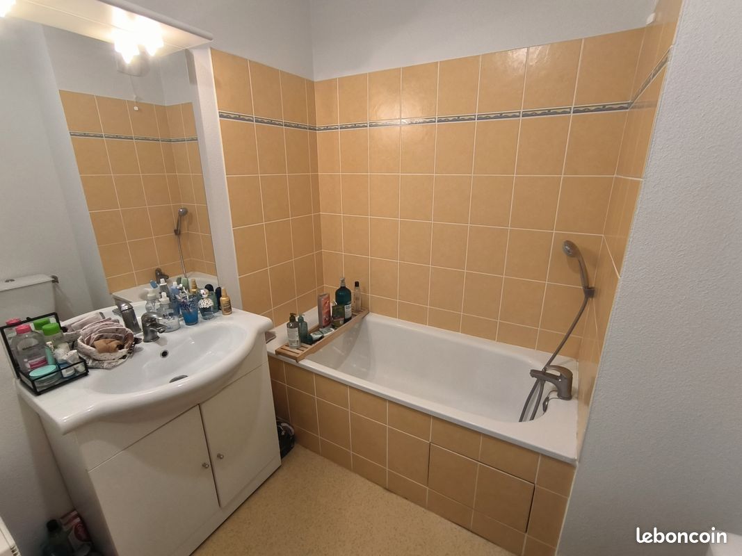 Studio secteur CHU - Les 3 Muses - Limoges 87000 Vanteaux-CHU-Mas Bouyol-Puy Rodas (image principale 2)