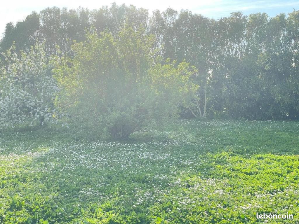 Terrain 401 m² · à Montroy · 401 m² · 105 000 €