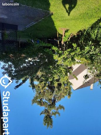 Maison a louer ris-orangis - 2 pièce(s) - 40 m2 - Surfyn