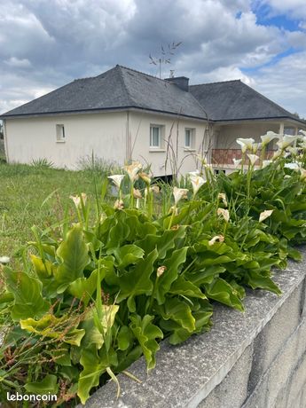 Maison 5 pièces 138 m²