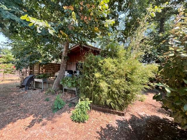 Maison 4 pièces 80 m² · à Saint-Julien-en-Born · 80 m² · 345 000 €