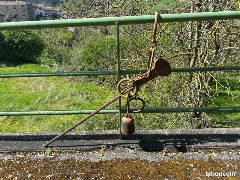 Romaine de150kgs (image 2)