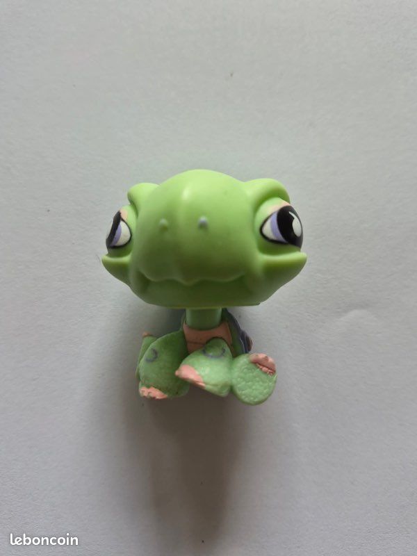 Lot 16 pet shop (image 4)