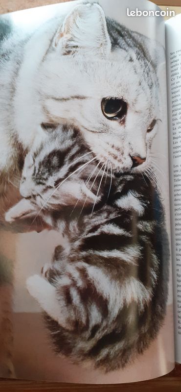 Livre " la passion des chats" Grund 1976 (image 4)