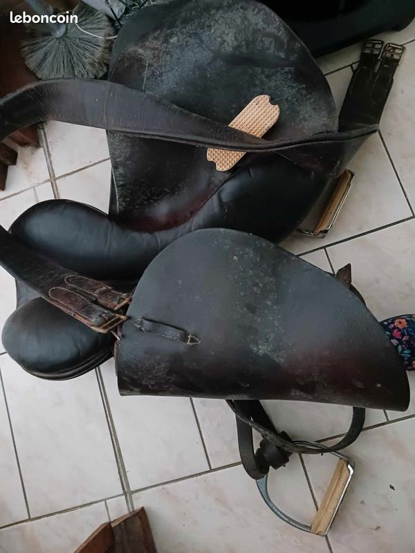Selle cheval (image 3)