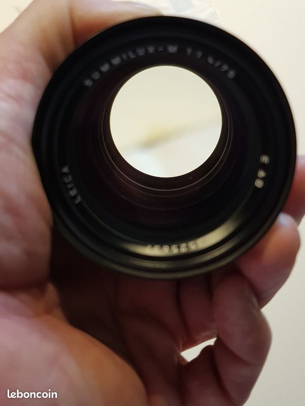 Leica Summilux-M 75mm f/1.4 (image 4)