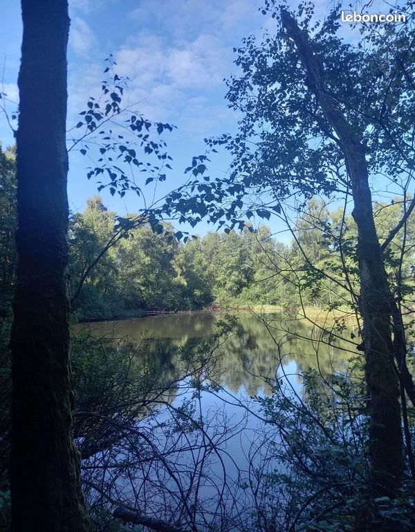 Recherche lac étang graviere lac agricole lac d'irrigation · à Buzet-sur-Tarn · 55 555 €