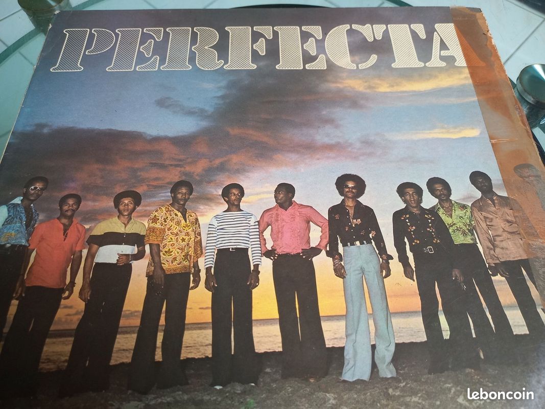 Loisir vend vinyl (image 11)