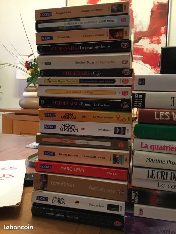 Collection de nombreux romans (image 2)