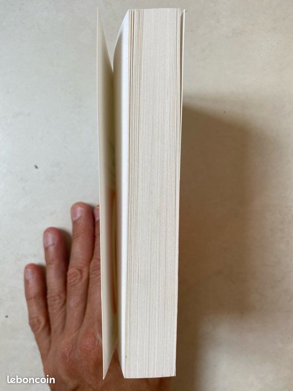Les passions vides, de Michele Benhaïm (image 5)