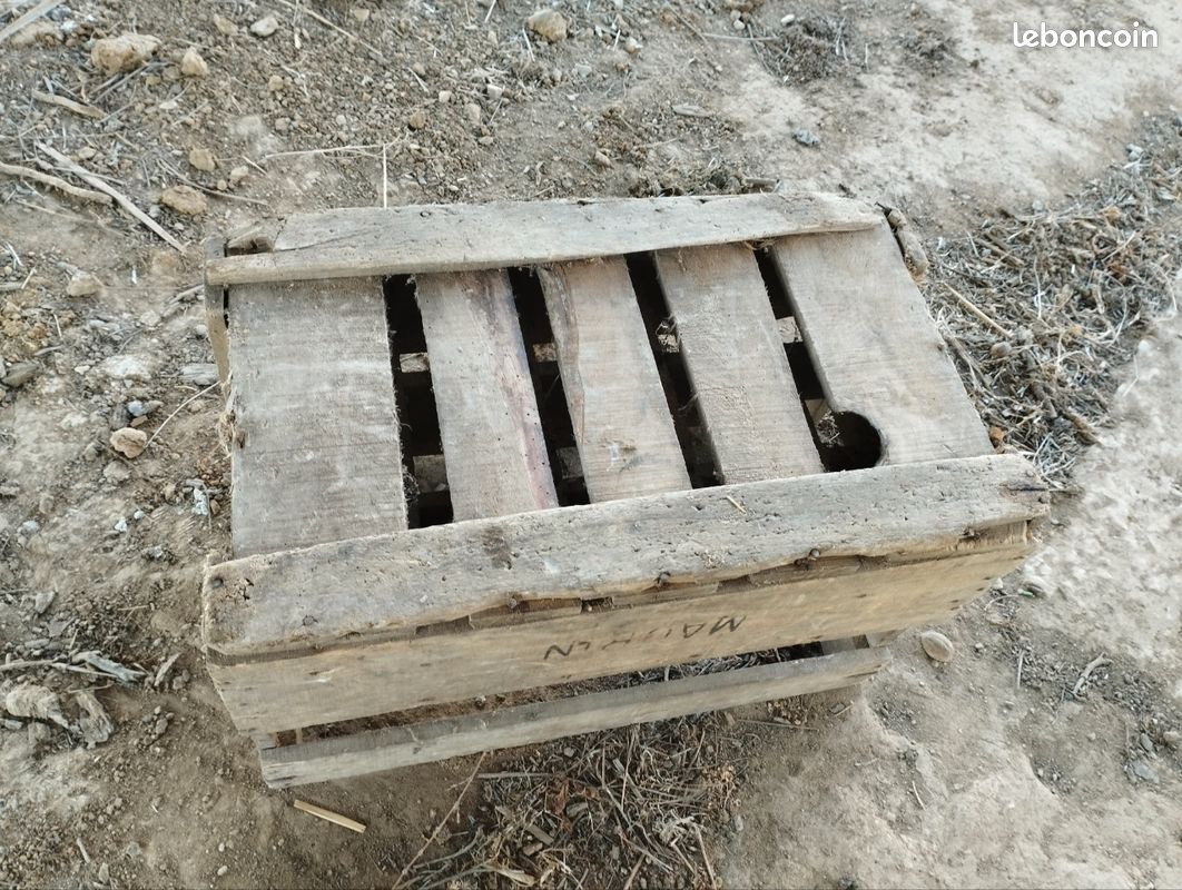 Ancienne caisse a bouteilles (image 5)