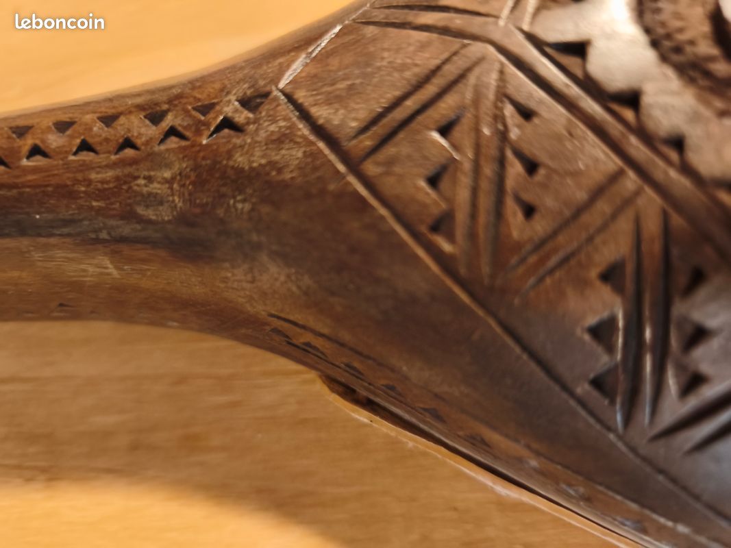 Gusla, instrument a corde (image 9)