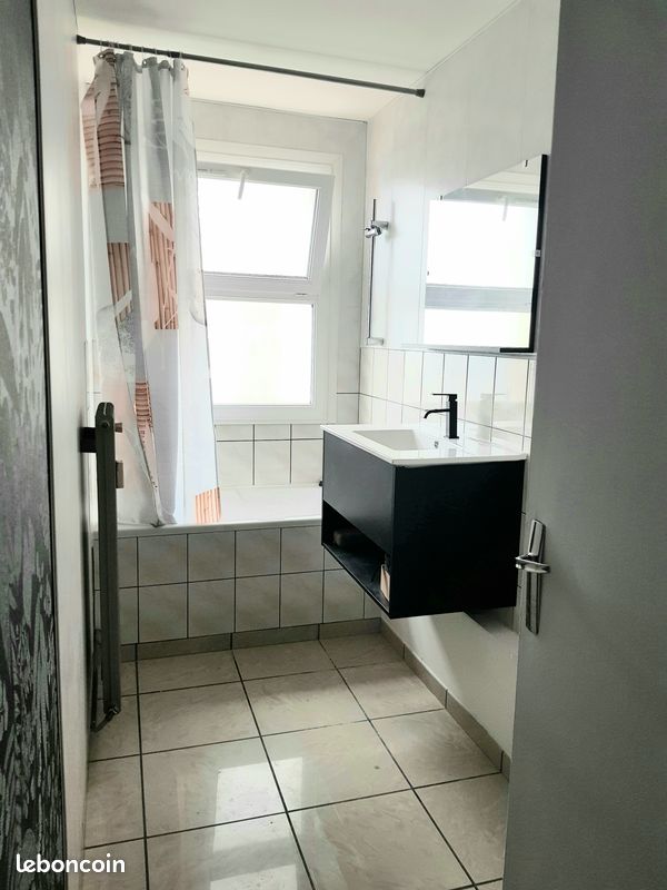Appartement T2 bis 60m² Plateau de la Justice (image 7)