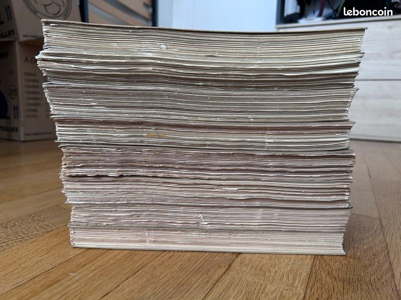 Histoire de l'Art (8 volumes / tomes) - André Michel (Librairie Armand Colin) (image 7)