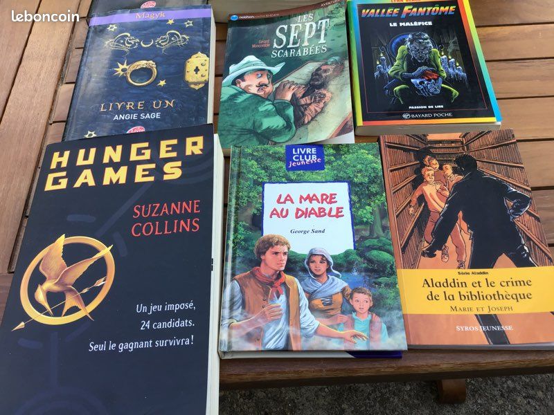 Lot livres jeunesse (image 2)