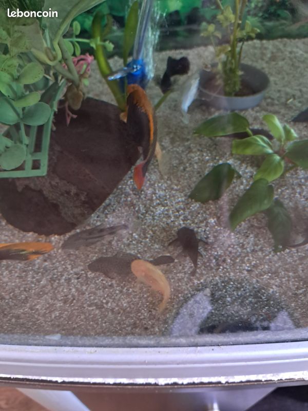 Aquarium 180l (image 2)