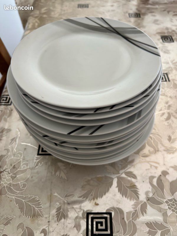 Lot 13 assiettes en porcelaine (image 1)