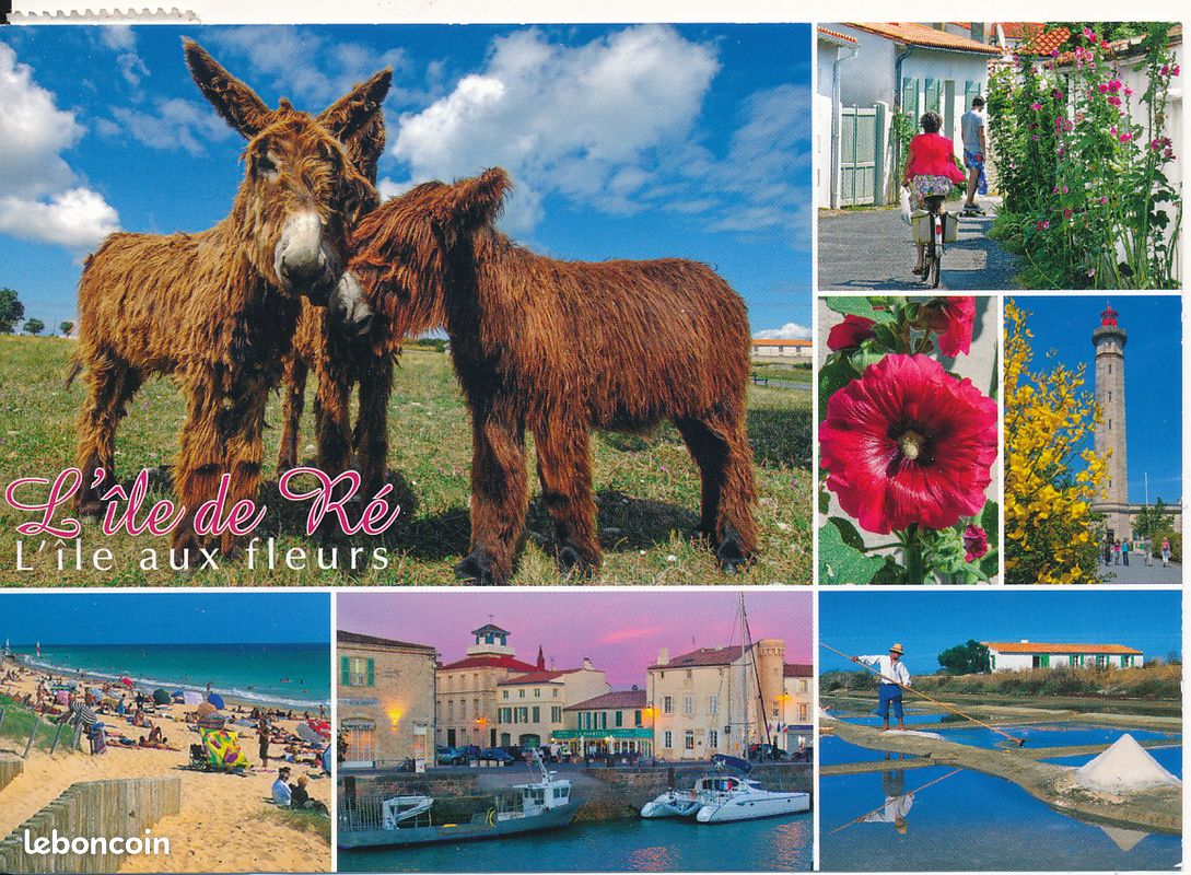 Carte postale : ILE DE RÉ (17, Charente-Maritime) : Mutivues, anes, Plage, Port St-Martin, Marais salants, Timbre chataignier, Circulée (image 1)