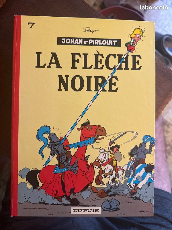 La flèche noire (image 1)