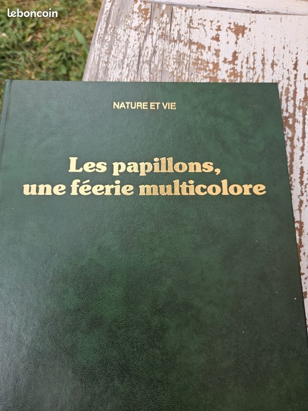 Livre Les papillons une féerie multicolore nature et vie (image 1)