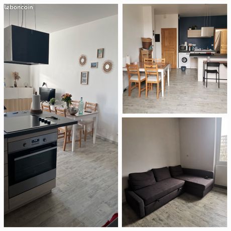 Appartement lumineux et rénové à côté parc de l'Europe et du Cours Fauriel